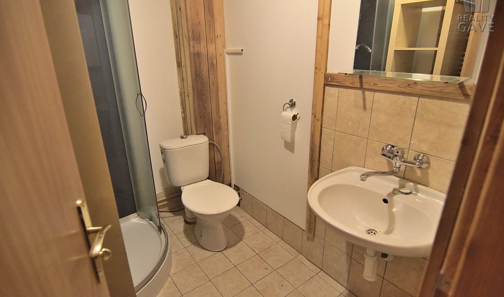 Pronájem bytu 1+kk 25 m², Čisovice – náhled fotky 7