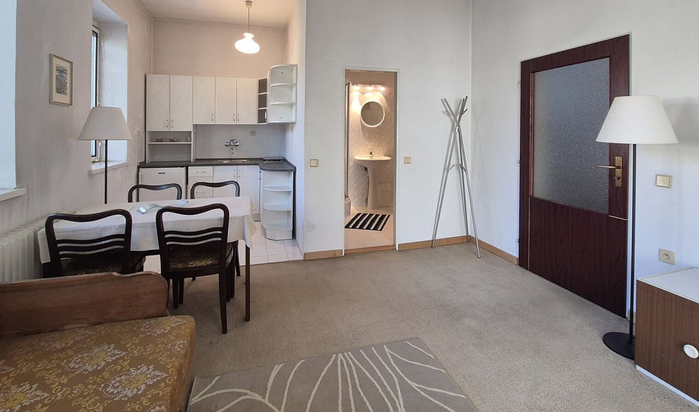 Prodej domu 330 m² s pozemkem 198 m², Letovice – náhled fotky 30
