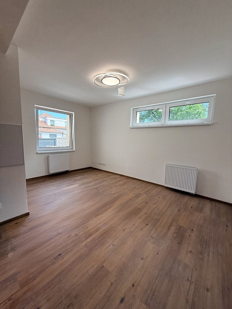 Pronájem bytu 3+kk 48 m² — photo 3