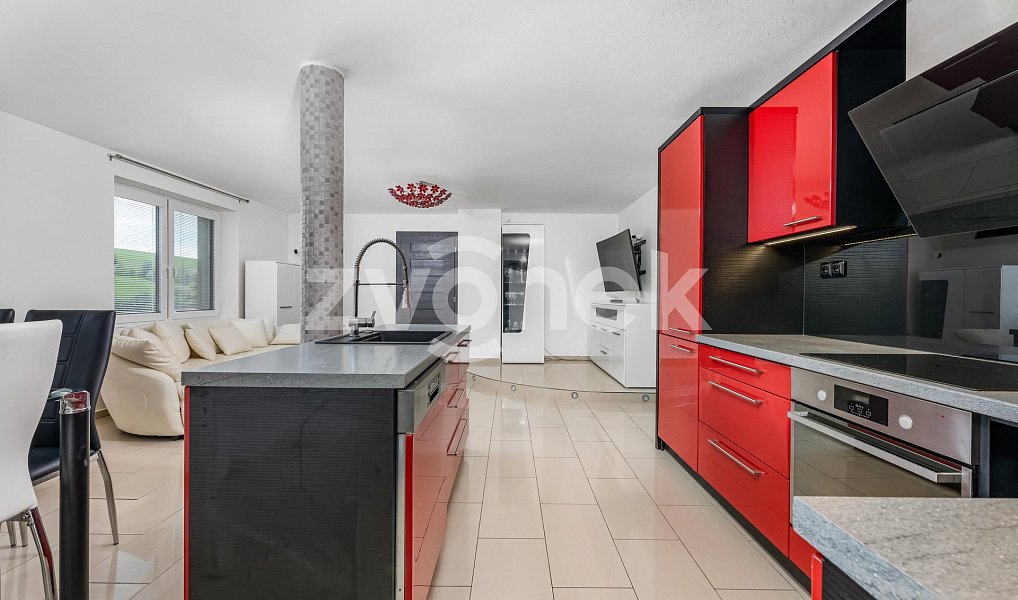 Prodej domu 258 m² s pozemkem 1 107 m², Všemina – náhled fotky 2