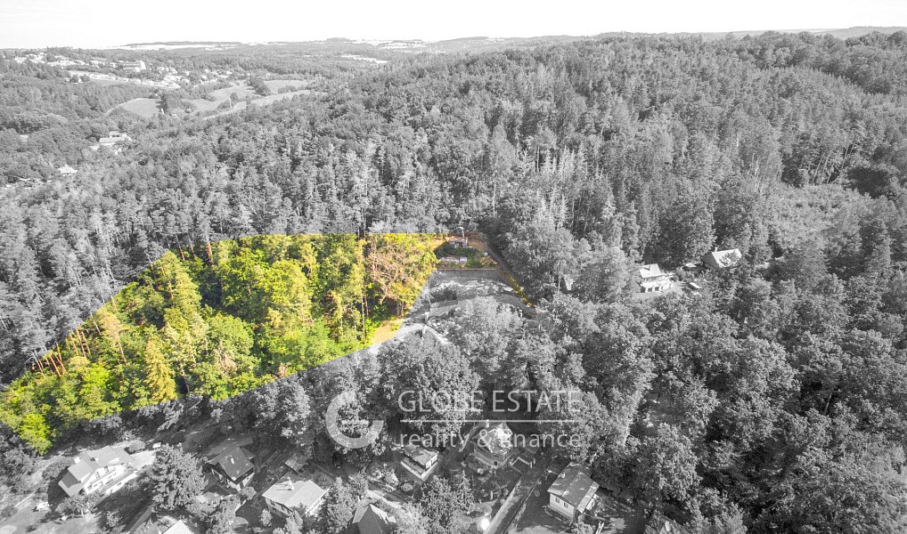 Prodej chaty/chalupy 20 m² s pozemkem 11 807 m², Řehenice – náhled fotky 11