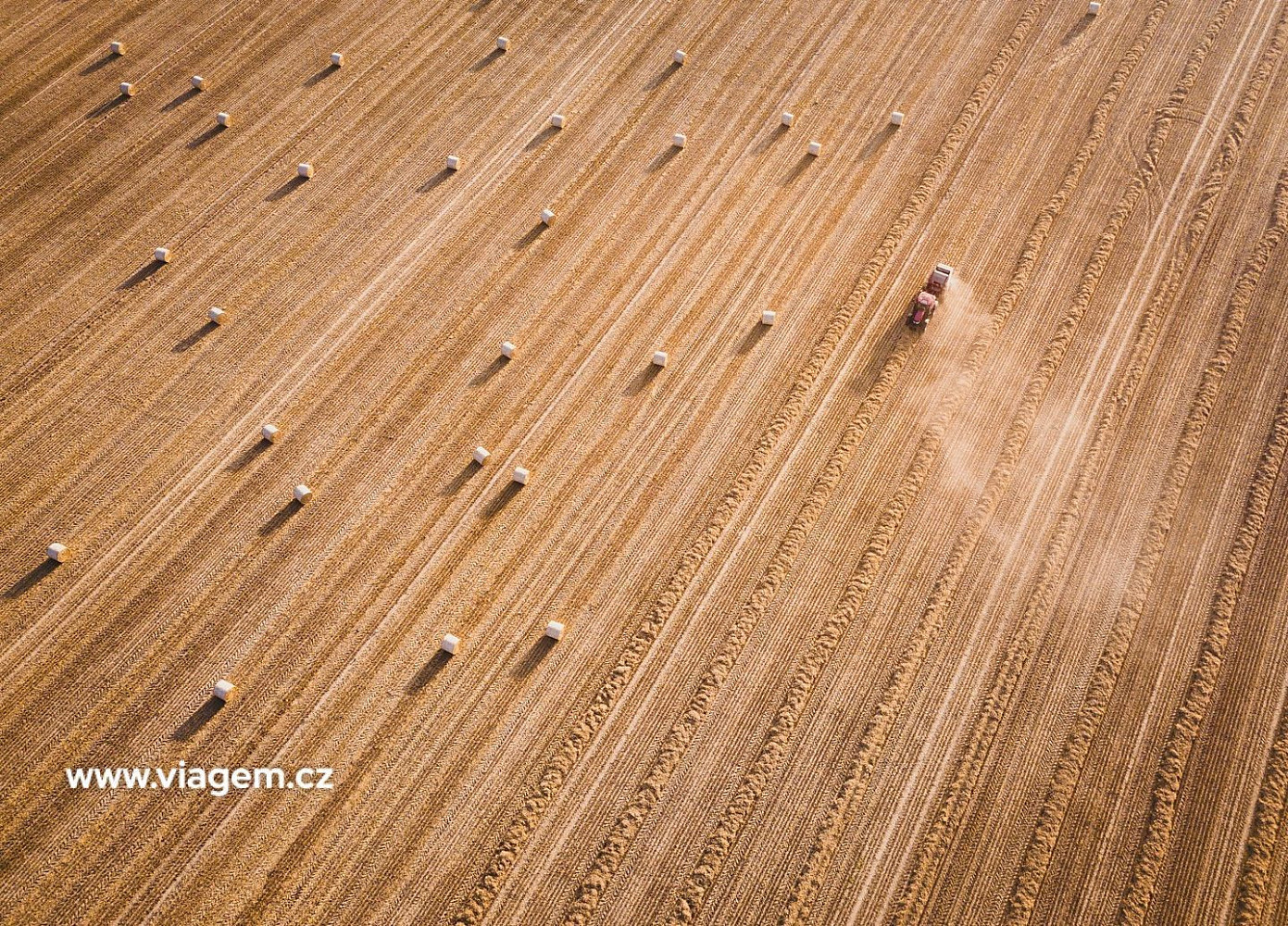 Prodej pole 5 701 m² – fotografie 2