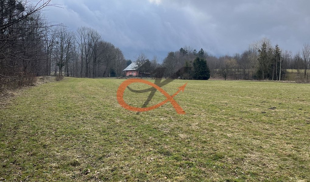 Prodej domu 200 m² s pozemkem 27 930 m², Trojanovice – náhled fotky 23