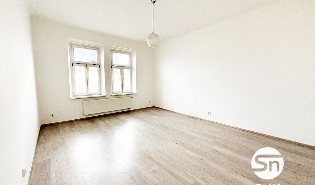 Pronájem bytu 1+1 55 m², Plzeň – náhled fotky 3