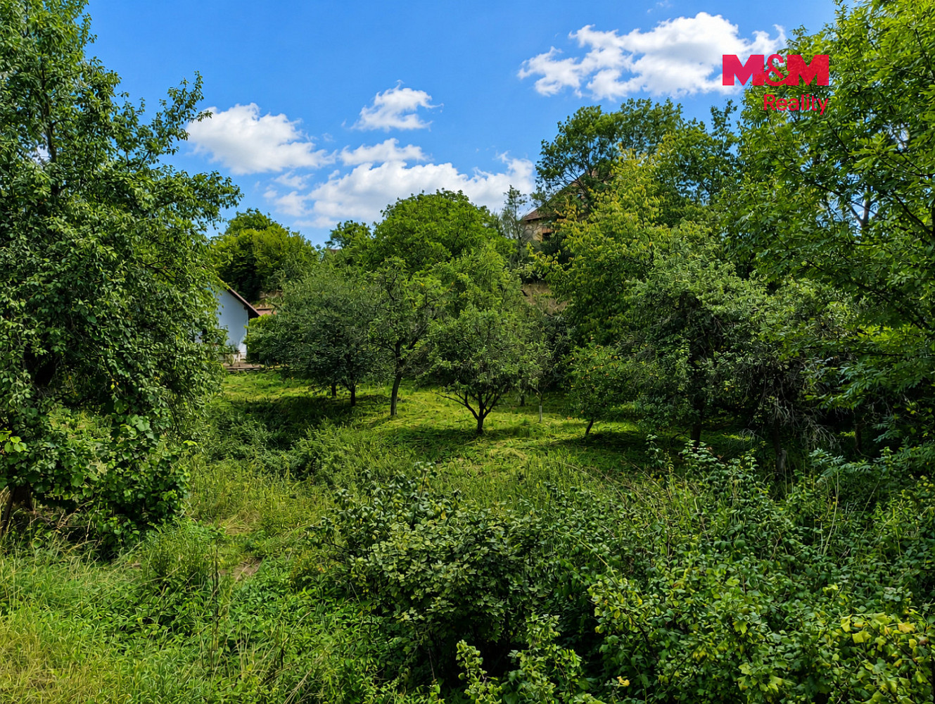 Prodej chaty/chalupy 100 m² s pozemkem 1 619 m² – fotografie 5