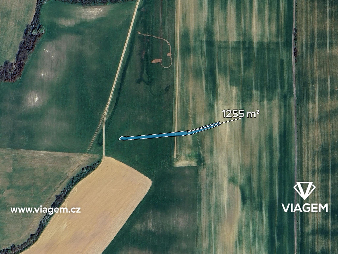 Prodej pole 1 255 m² – fotografie 2