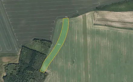 Prodej pole 13 951 m², Český Brod - Liblice, okres Kolín