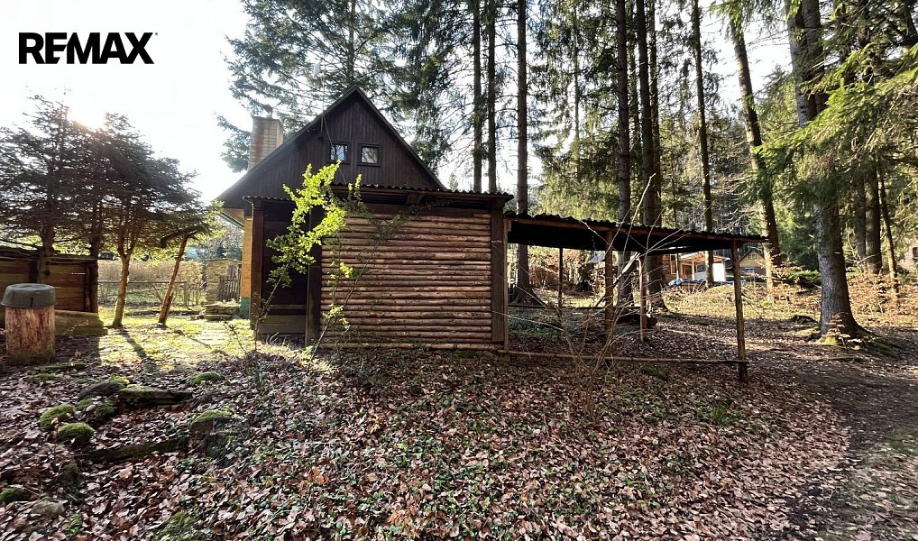 Prodej chaty/chalupy 40 m² s pozemkem 3 508 m², Proseč pod Křemešníkem – náhled fotky 10