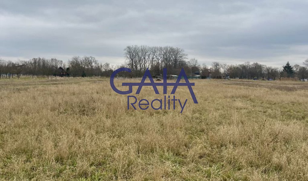Prodej pole 3 405 m², Veselí nad Moravou – náhled fotky 4