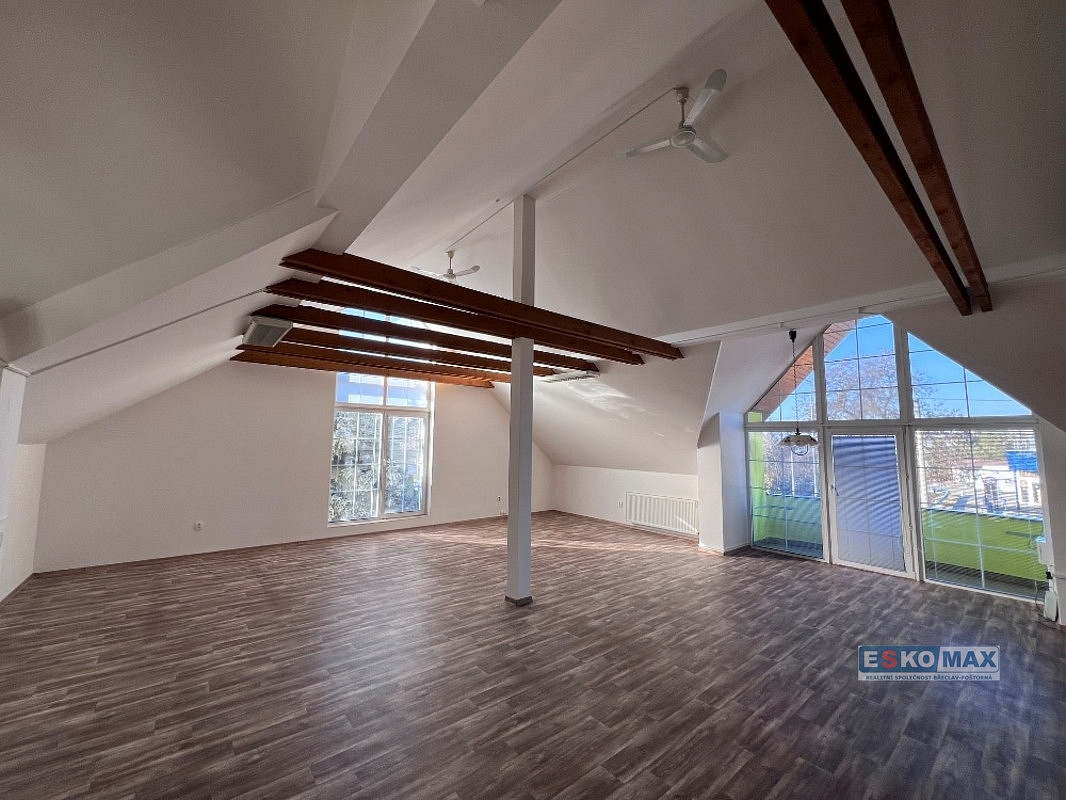 Pronájem bytu 2+1 100 m²