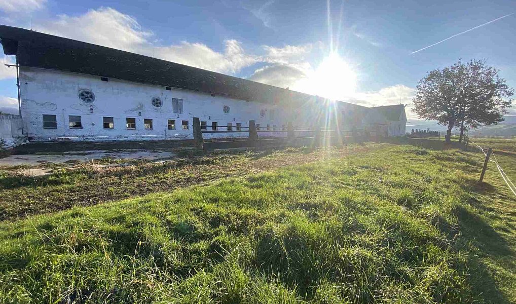 Prodej pozemku 11 405 m², Králíky – náhled fotky 3