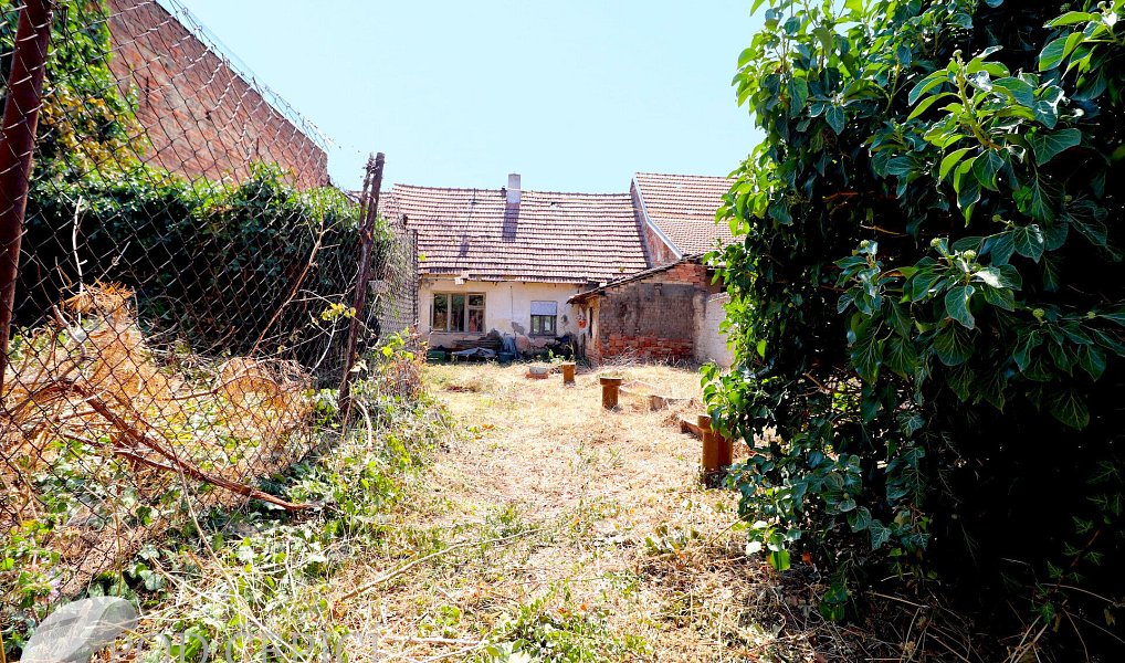 Prodej domu 85 m² s pozemkem 269 m², Šakvice – náhled fotky 2