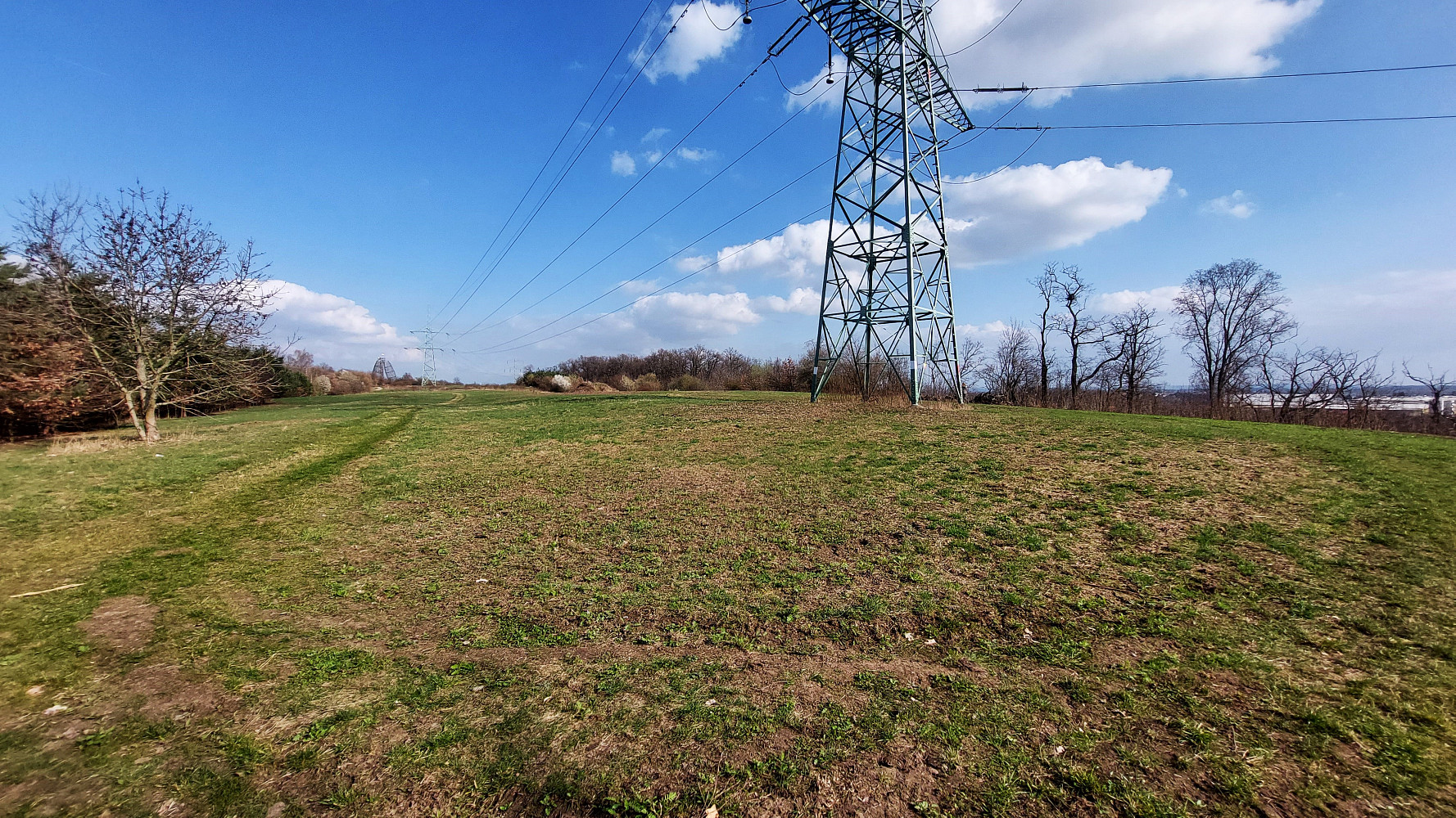Pronájem pozemku 12 685 m² – fotografie 3