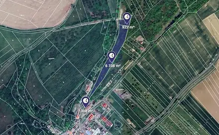 Prodej lesa 3 969 m², Veselíčko, okres Přerov