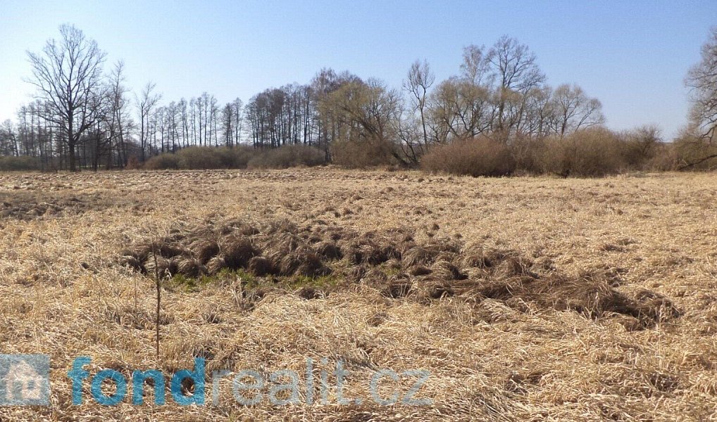 Prodej pozemku 4 593 m², Vesce – náhled fotky 3