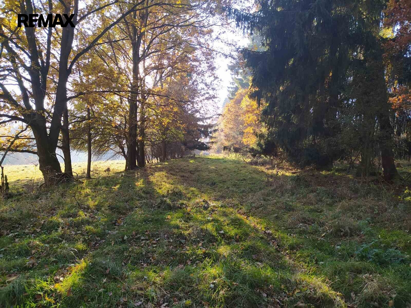 Prodej louky 20 332 m² – fotografie 3