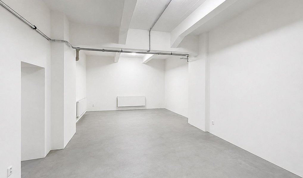 Pronájem skladovacích prostor 97 m², Strančice – náhled fotky 4