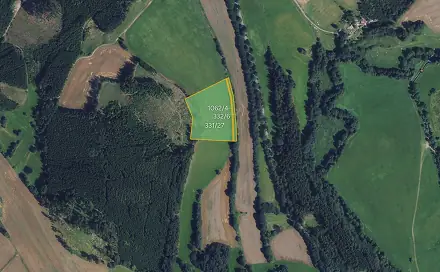 Prodej louky 16 910 m², Borovnice, okres Žďár nad Sázavou