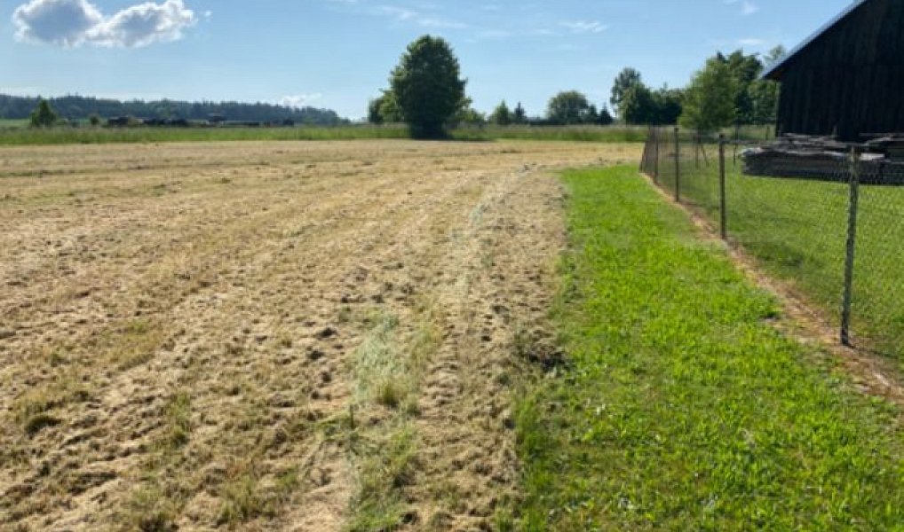 Prodej stavebního pozemku 8 669 m², Zbizuby – náhled fotky 6