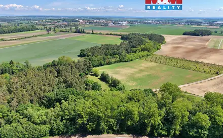 Prodej lesa 5 227 m², Lysá nad Labem, okres Nymburk