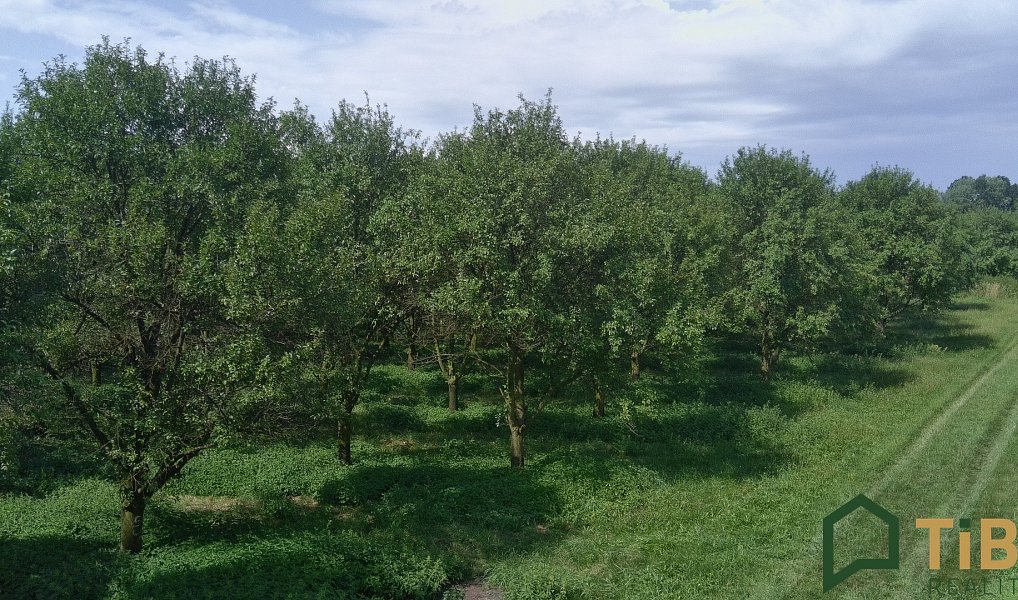 Prodej pole 5 319 m², Vanovice – náhled fotky 6