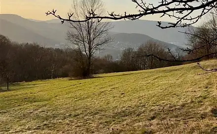 Prodej pozemku 25 018 m², Děčín