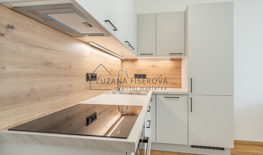 Pronájem bytu 2+kk 56 m², Praha – náhled fotky 6