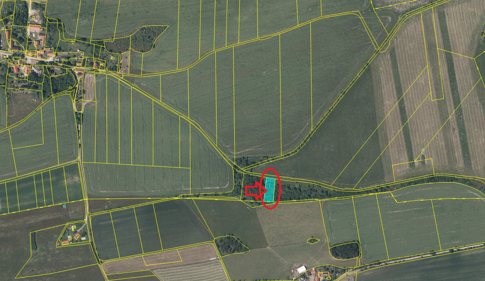 Prodej lesa 5 168 m² — photo 5