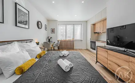 Pronájem bytu 1+kk 25 m², Sokolovská, Ostrava - Poruba