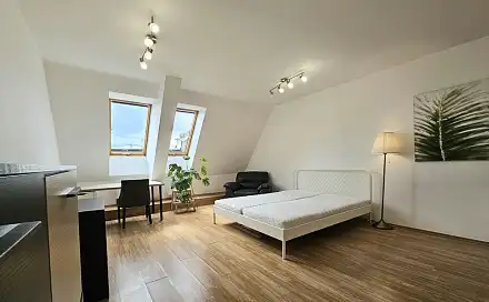 Pronájem bytu 1+kk 33 m²