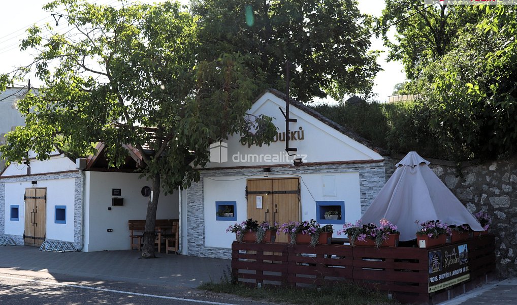 Vinné sklepy s posezením Horní Věstonice, Horní Věstonice – náhled fotky 18