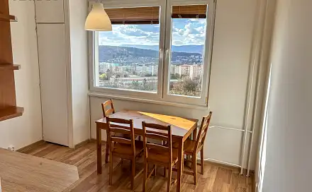 Pronájem bytu 1+1 42 m²