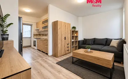 Prodej bytu 1+1 30 m², Žižkova, Nový Jičín