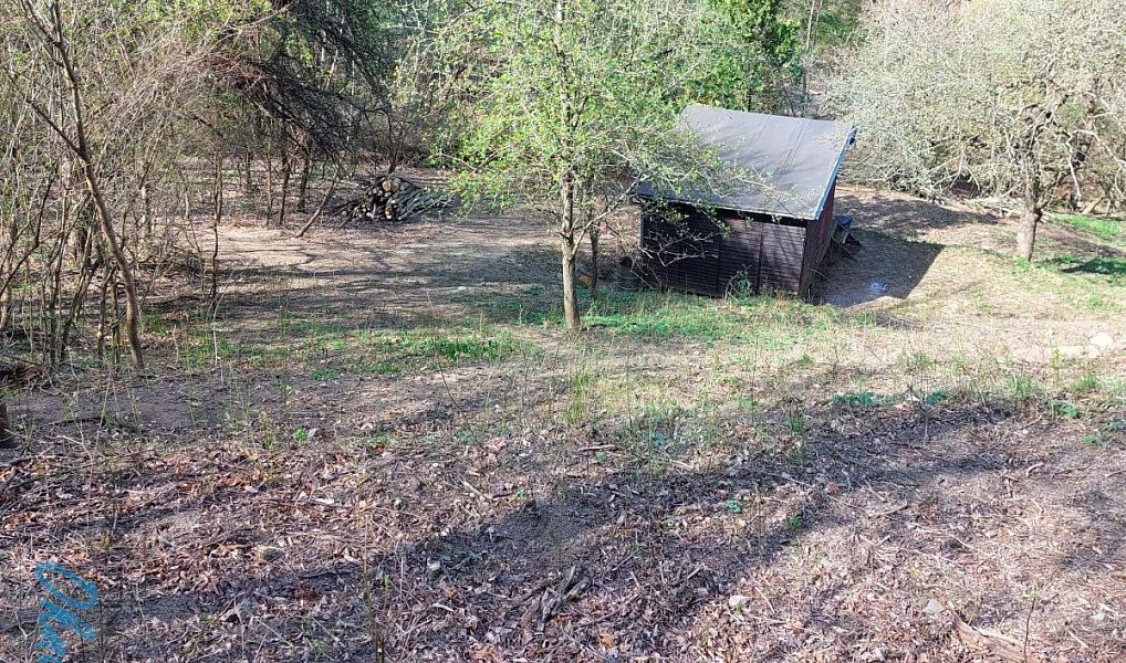 Prodej stavebního pozemku 1 778 m², Bílovice nad Svitavou – náhled fotky 7