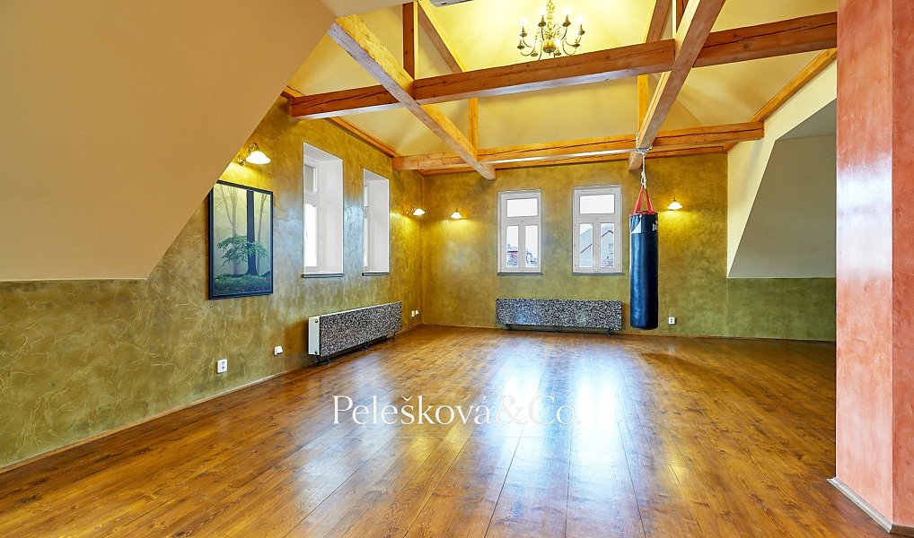 Pronájem bytu 4+kk 177 m², Praha – náhled fotky 5