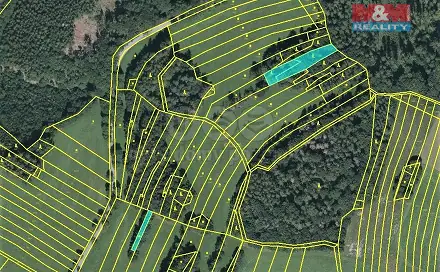 Prodej lesa 420 m², Vysoká, okres Svitavy