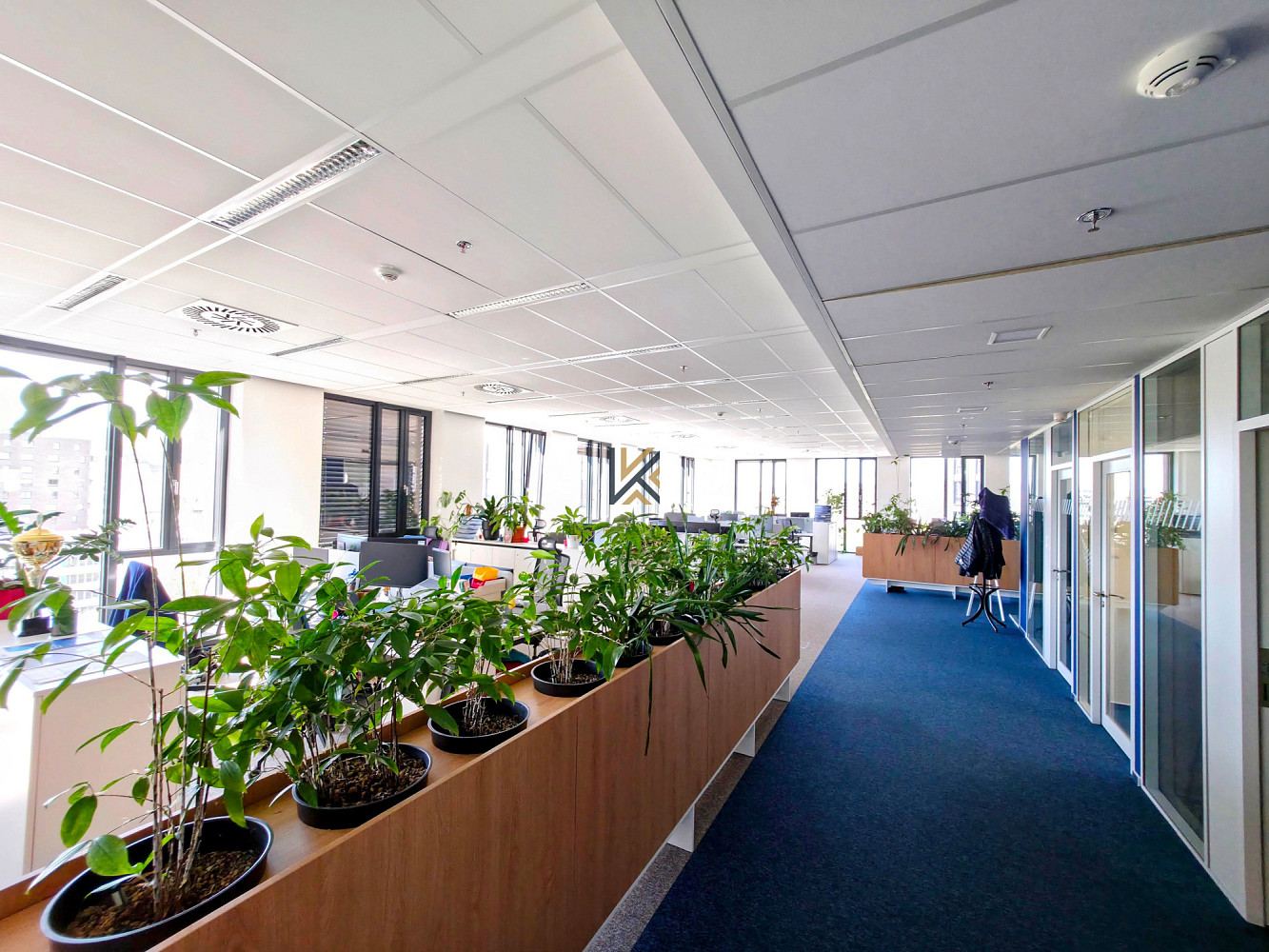 Pronájem kanceláře 564 m² – fotografie 3