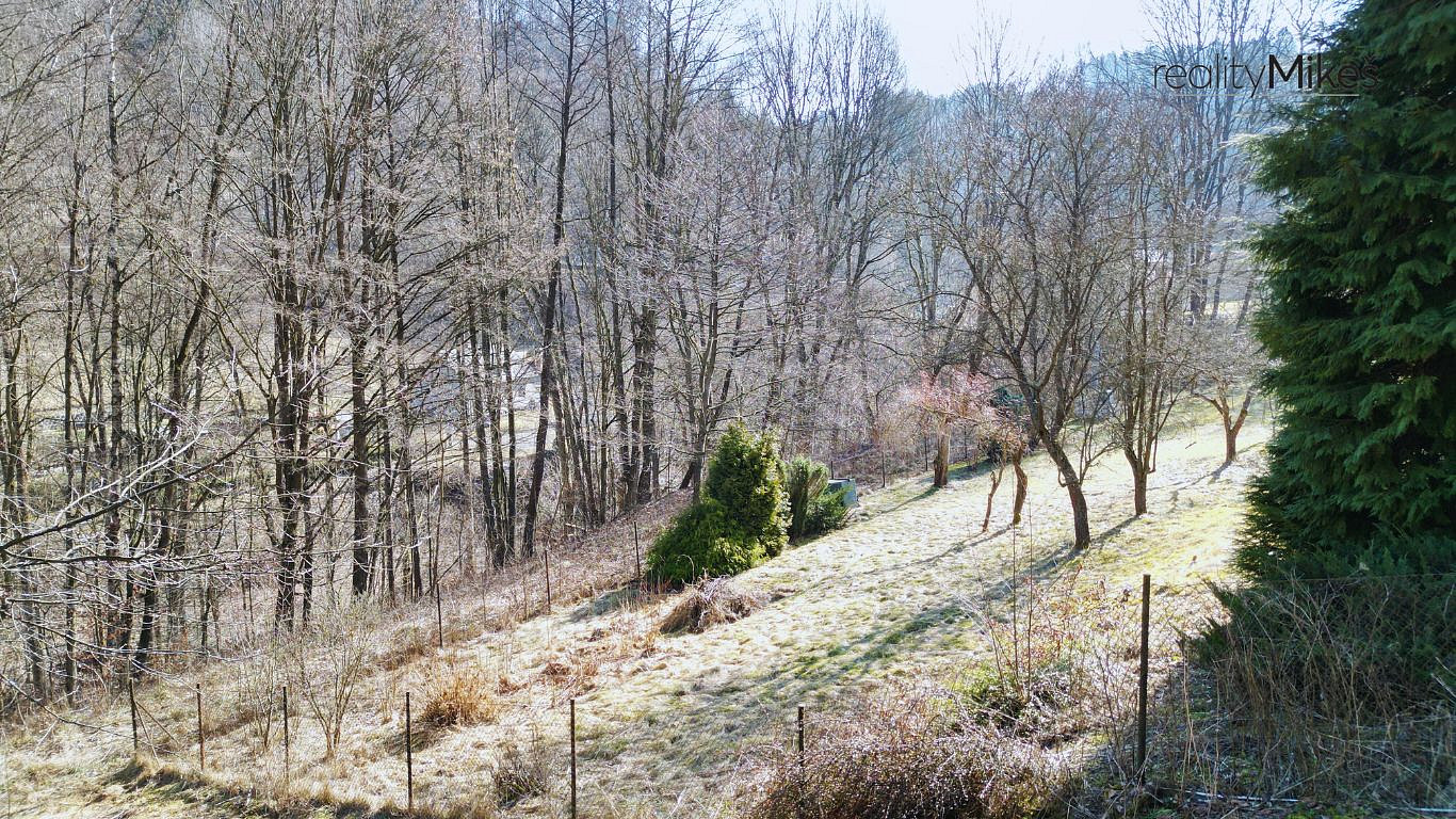 Fotka 7 z 12