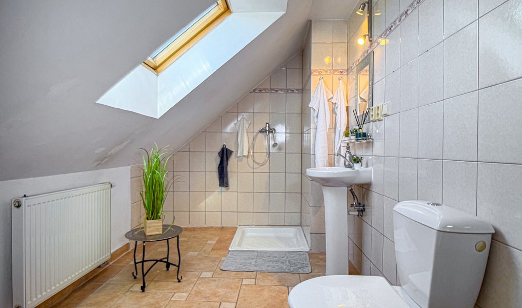 Prodej domu 206 m² s pozemkem 1 607 m², Újezdec – náhled fotky 14