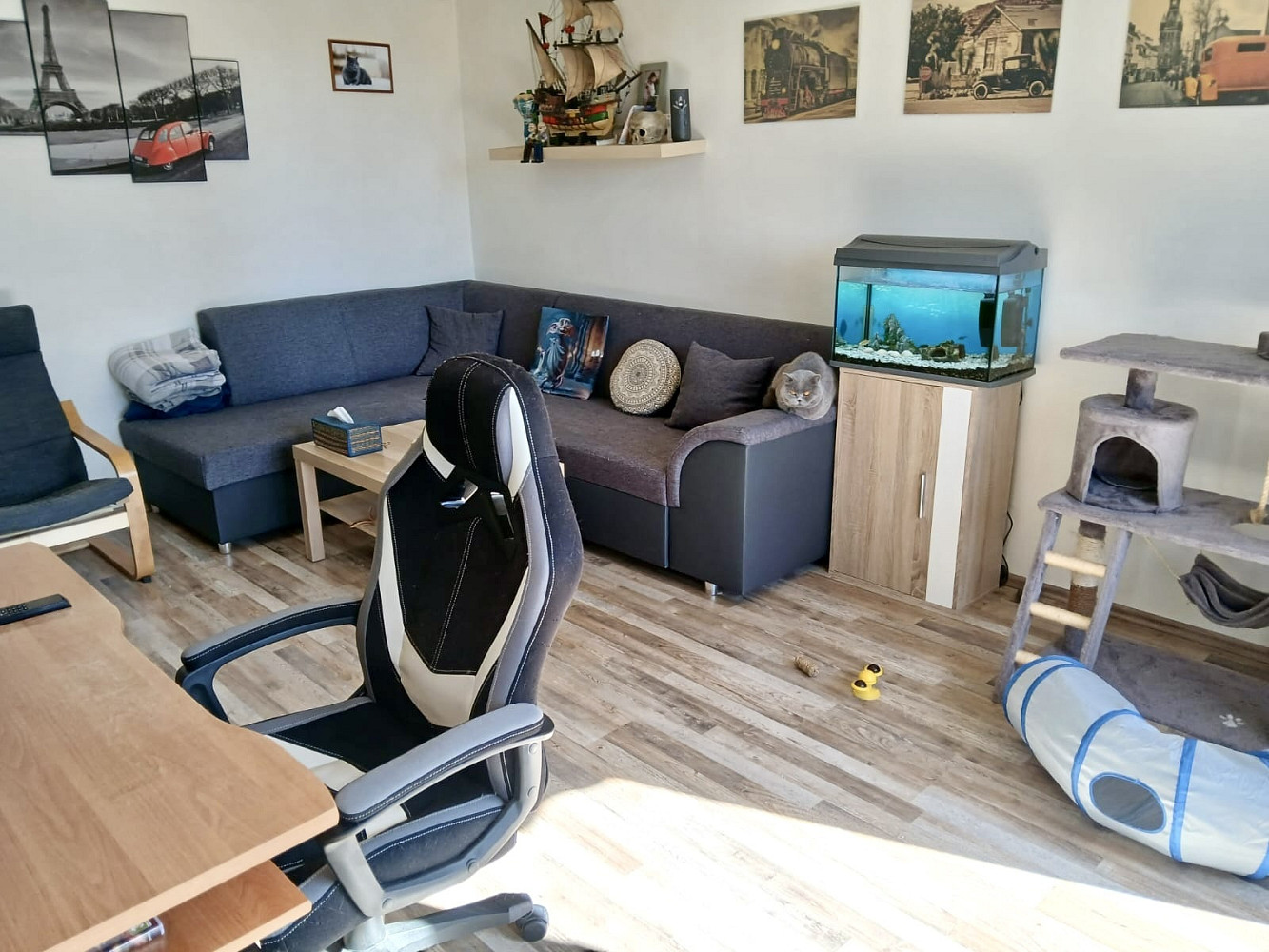 Fotka 4 z 12