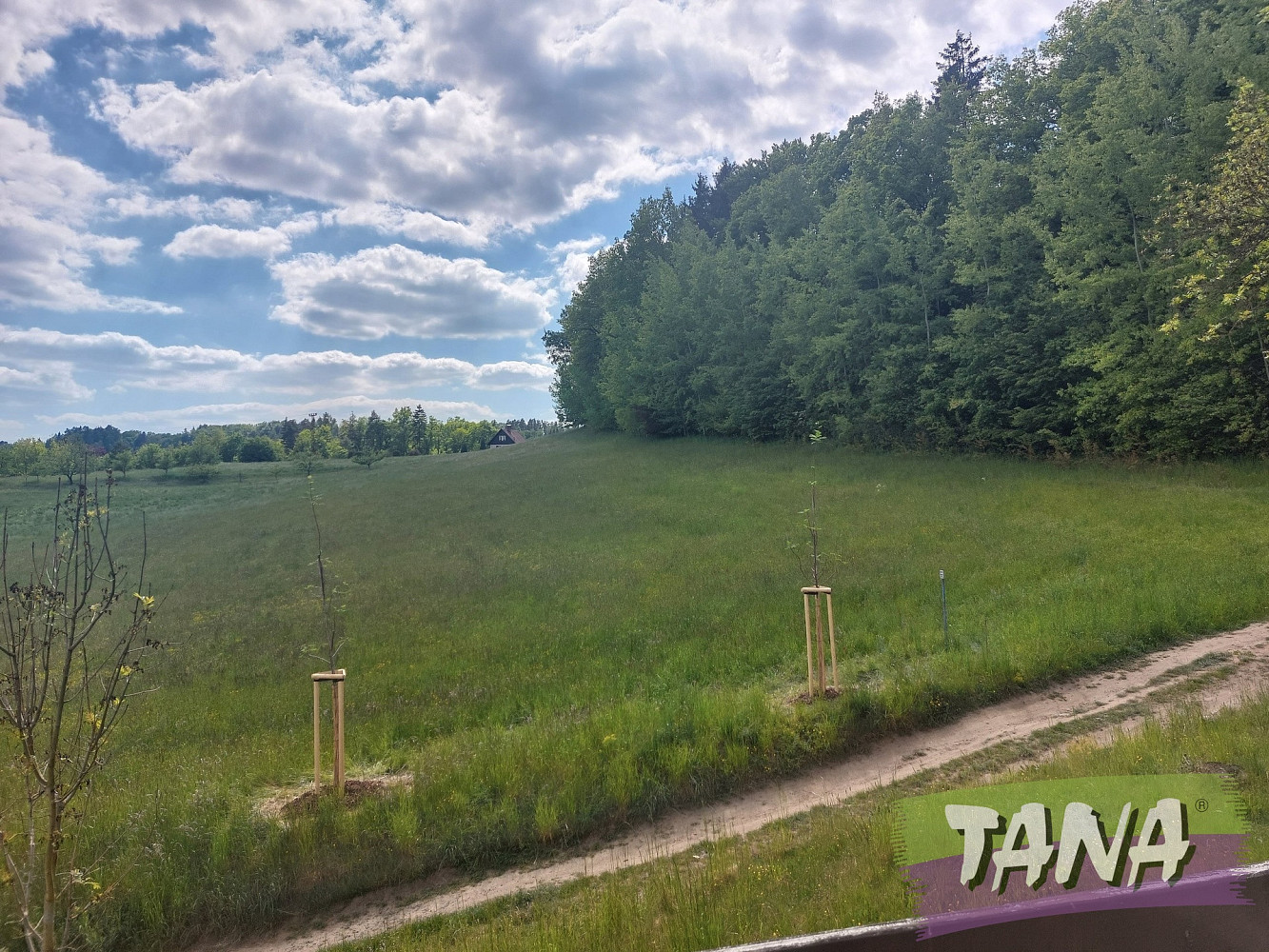 Prodej domu 120 m² s pozemkem 1 262 m² – fotografie 5