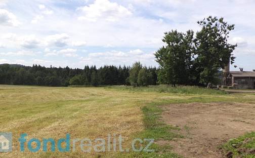 Prodej pozemku 11 739 m², Skořice, okres Rokycany