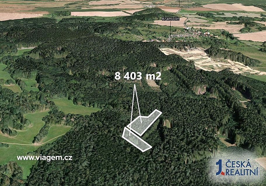 Prodej lesa 1 400 m² — photo 2
