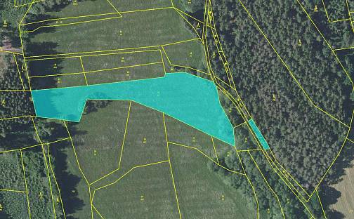 Prodej pole 11 282 m², Jankov - Nosákov, okres Benešov
