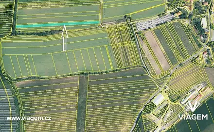 Prodej pole 600 m², Kostelec, okres Hodonín