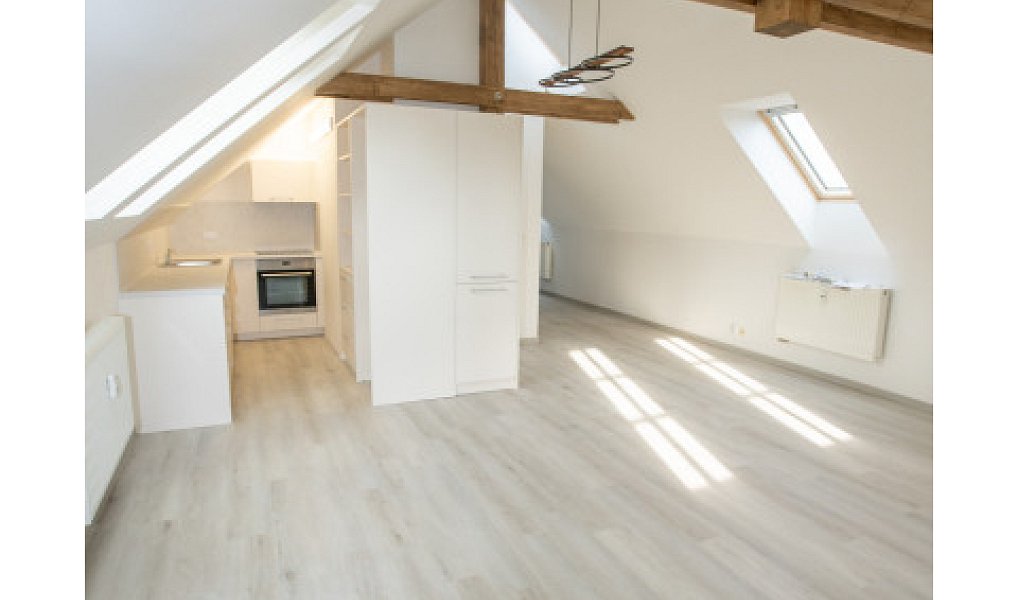 Pronájem bytu 2+kk 66 m², Plzeň – náhled fotky 7