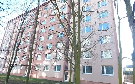 Prodej bytu 1+kk 19 m², Kostnická, Chomutov