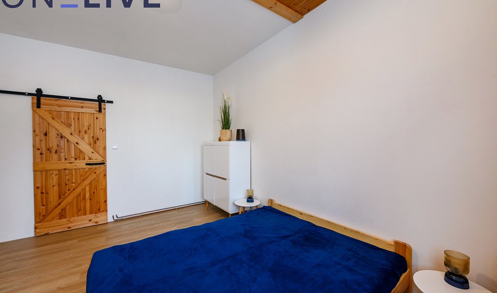 Prodej komerčního objektu (jiného typu) 500 m², Železná Ruda – náhled fotky 18