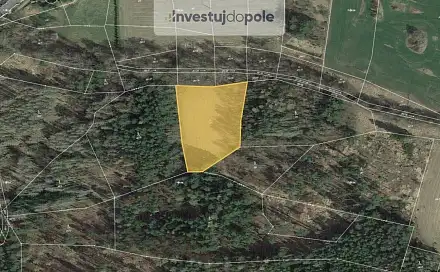 Prodej louky 6 305 m², Netvořice - Maskovice, okres Benešov