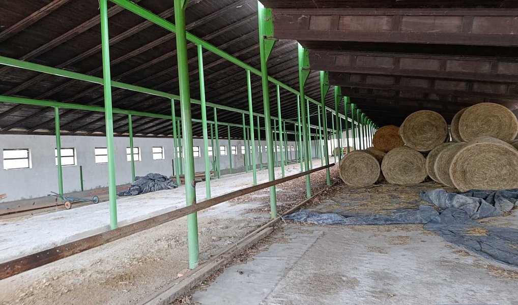 Prodej pole 2 020 000 m², Pavlov – náhled fotky 10